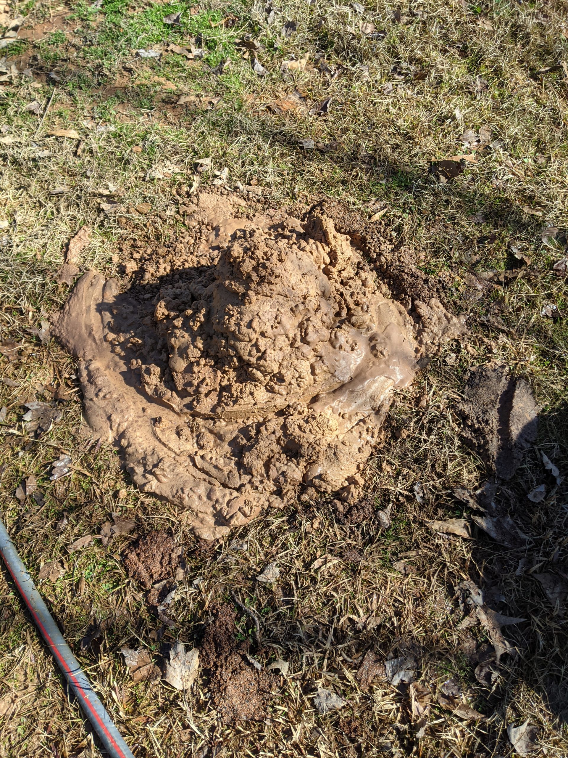 Processing Native Clay