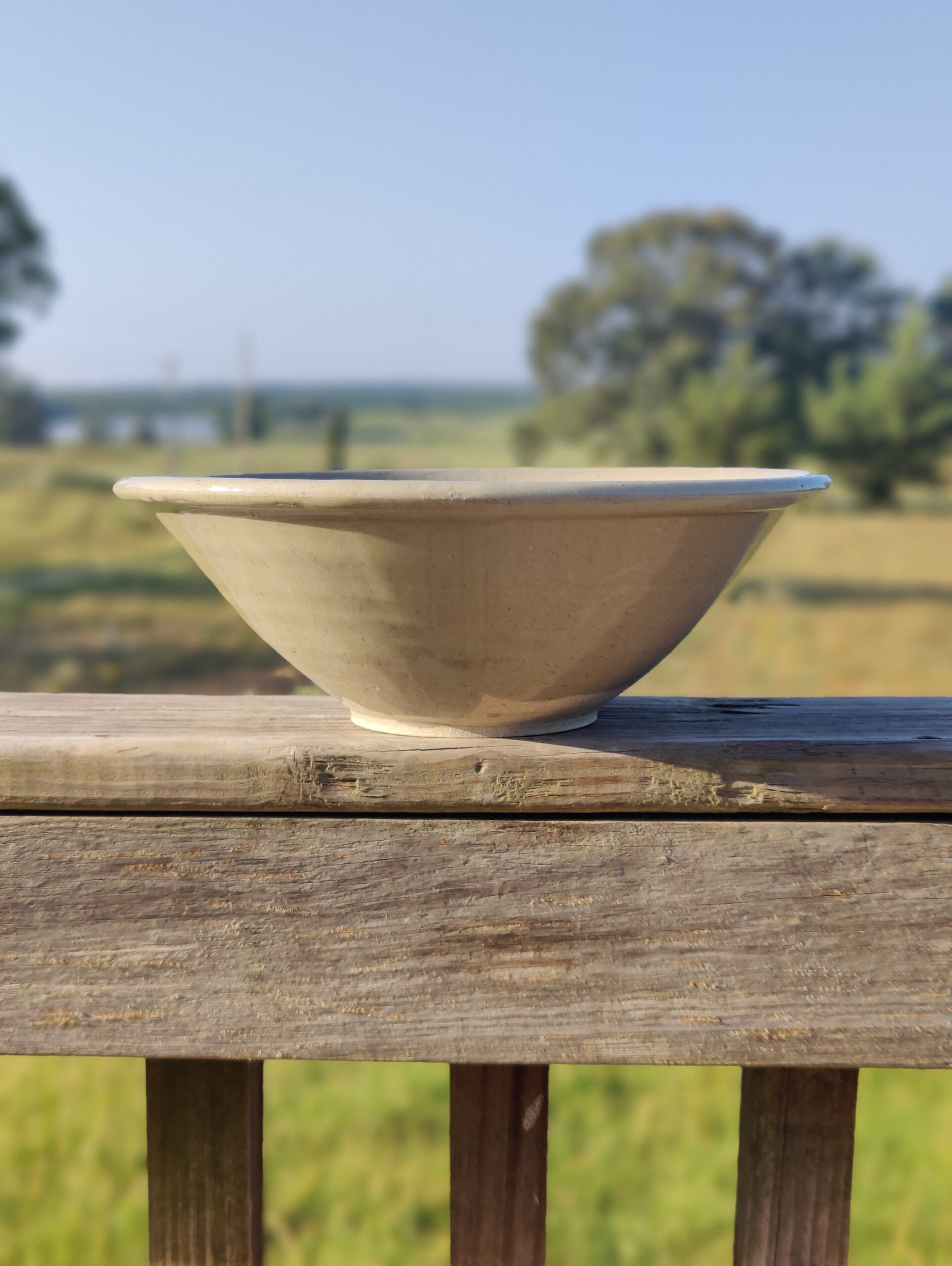 Large bowl with rolled rim