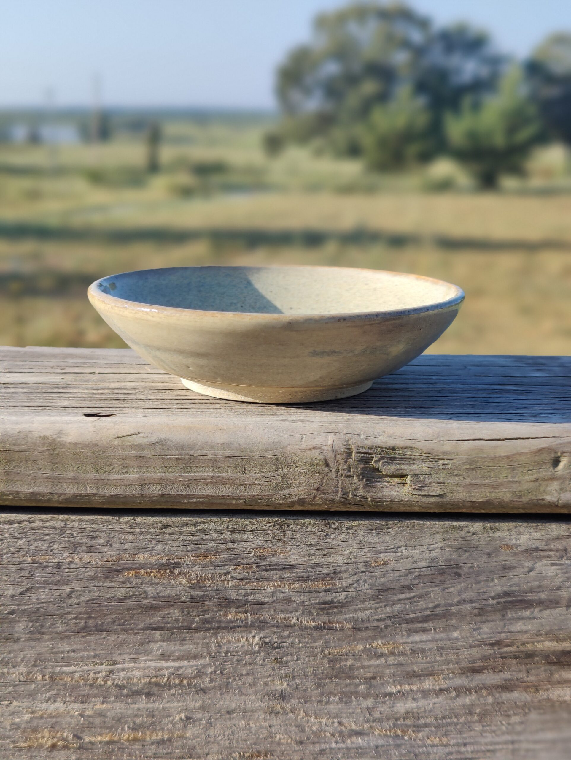 Small Bowl 2